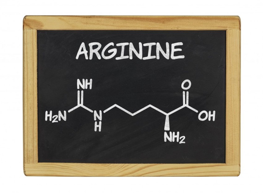 Аргинин в продуктах - советы о применению, польза, вред, показания и противопоказания к применению аминокислоты
