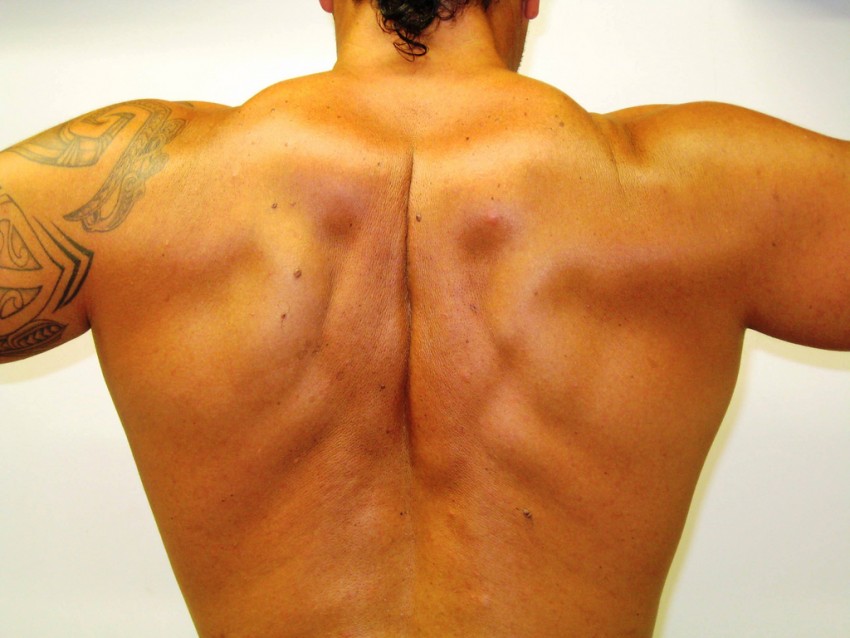 Упражнения и описание для спины фото