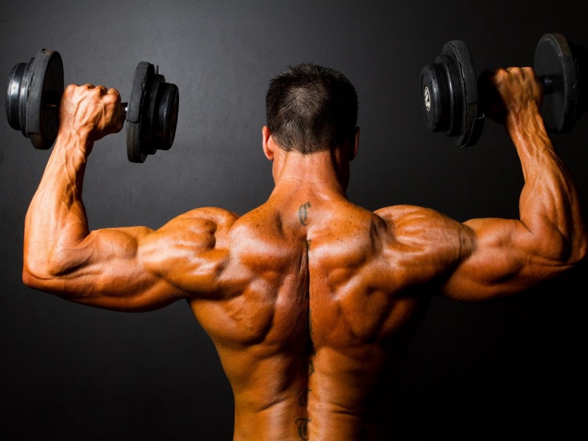 Упражнения на все виды мышц для мужчин