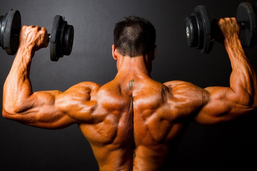 Программы для тренировок для укрепления мышц