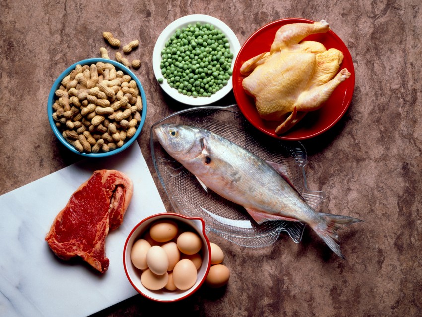 В каких продуктах содержится белок: самые популярные продукты питания насыщенные белком. 100 фото и советы по применению