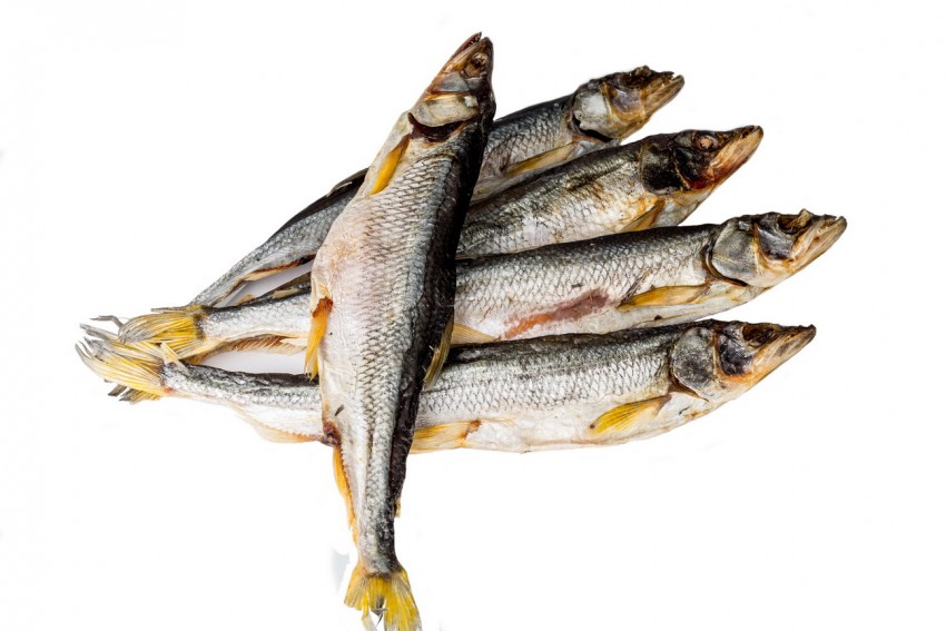 Омега 3 в рыбе - питание для спортсменов и секреты применения жирных кислот. 110 фото видов рыб содержащих Омегу-3